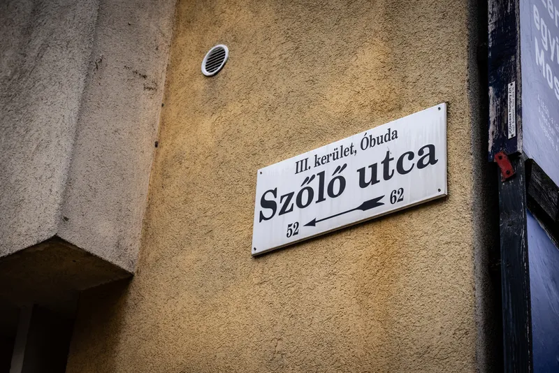 Szőlő utca
